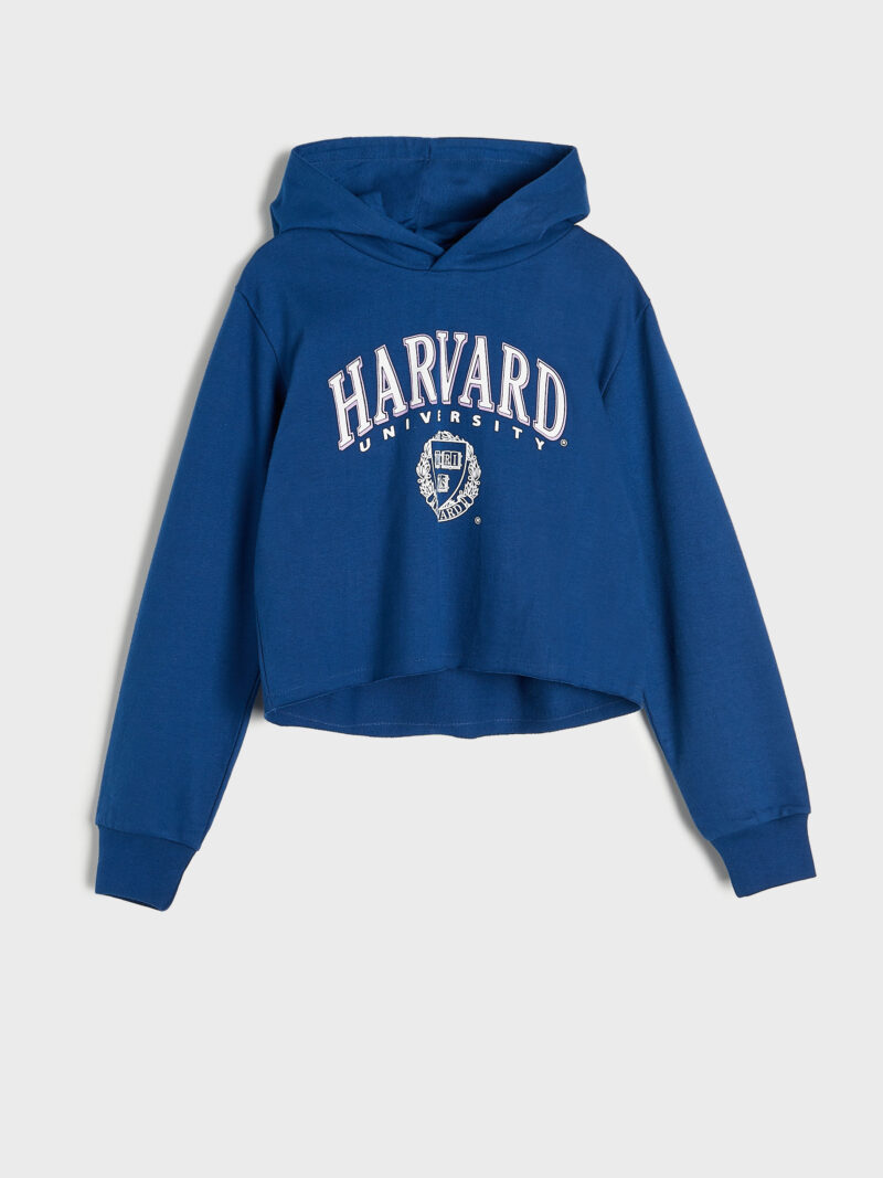 Preţ Hanorac Harvard - bleumarin