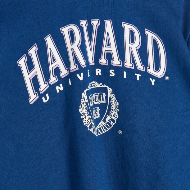 Original Hanorac Harvard - bleumarin