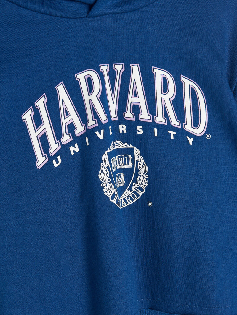 Original Hanorac Harvard - bleumarin