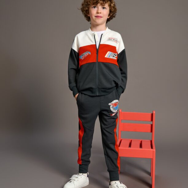 Pantaloni sport jogger Hot Wheels - gri-închis preţ