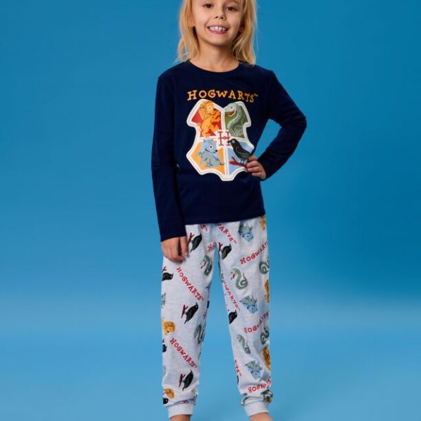 Pijama din două piese Harry Potter - bleumarin