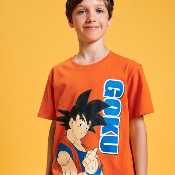 Preţ Tricou Dragon Ball - portocaliu