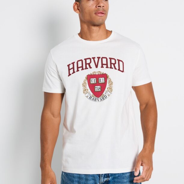 Preţ Tricou Harvard - crem