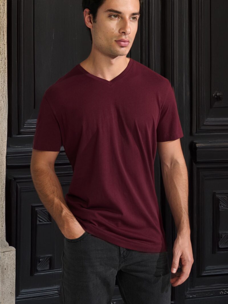 Tricou - bordo preţ