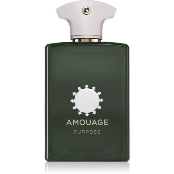 Amouage Purpose Eau de Parfum unisex 100 ml preţ