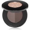 Anastasia Beverly Hills Brow Powder Duo pudră pentru sprâncene culoare Ash Brown 2x0