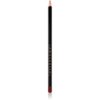 Anastasia Beverly Hills Lip Liner creion contur buze culoare Raisin 1