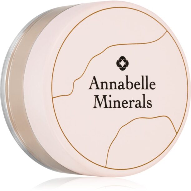 Annabelle Minerals Mineral Concealer corector cu acoperire mare culoare Natural Fair 4 g preţ