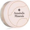 Annabelle Minerals Mineral Concealer corector cu acoperire mare culoare Natural Fair 4 g