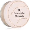 Annabelle Minerals Mineral Concealer corector cu acoperire mare culoare Natural Light 4 g