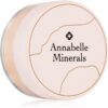 Annabelle Minerals Mineral Concealer corector cu acoperire mare culoare Pure Fair 4 g