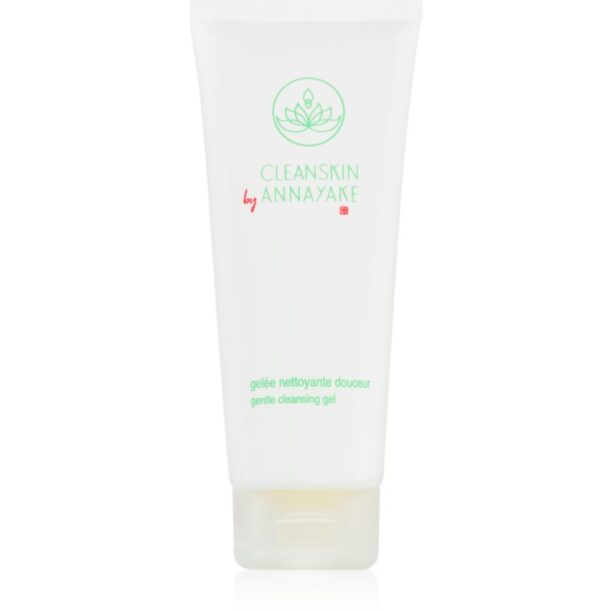 Annayake CleanSkin Gentle Cleansing Gel Gel facial de curatare perfecta pentru curatare 100 ml