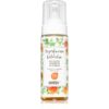 Anwen Peach & Coriander spuma de curatat pentru scalp sensibil si uscat 170 ml