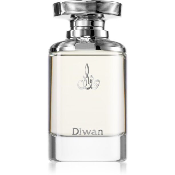 Arabian Oud Diwan Eau de Parfum unisex 100 ml preţ