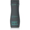 Attitude Super Leaves Scalp Care Black Willow & Aspen 2 in 1 gel de dus si sampon pentru barbati 473 ml