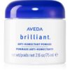 Aveda Brilliant™ Anti-humectant Pomade alifie pentru par anti-electrizare 75 ml