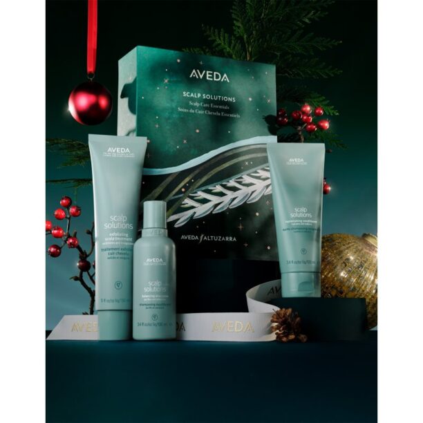 Aveda Holiday Scalp Solutions Exfoliating Essentials set cadou pentru par lipsit de vitalitate preţ