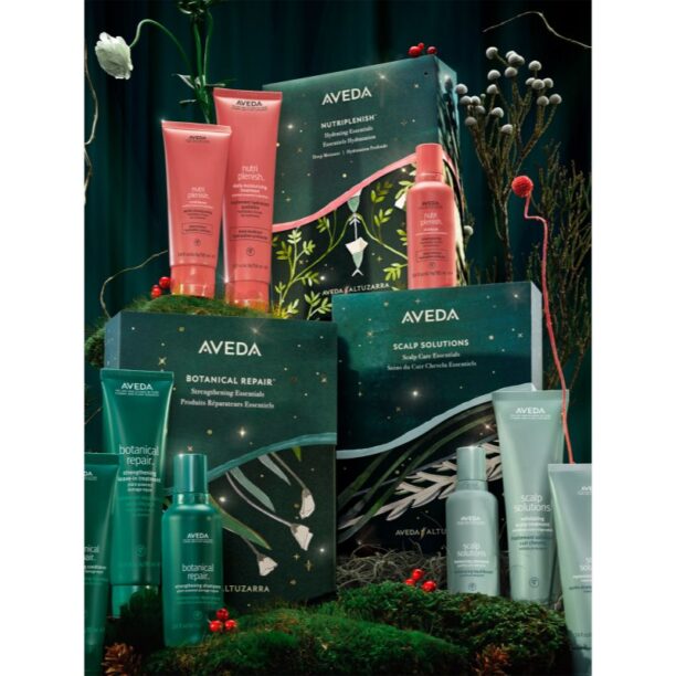 Original Aveda Holiday Scalp Solutions Exfoliating Essentials set cadou pentru par lipsit de vitalitate