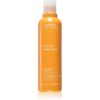 Aveda Sun Care Hair and Body Cleanser gel de dus si sampon 2in1 pentru parul deteriorat de efectele solare