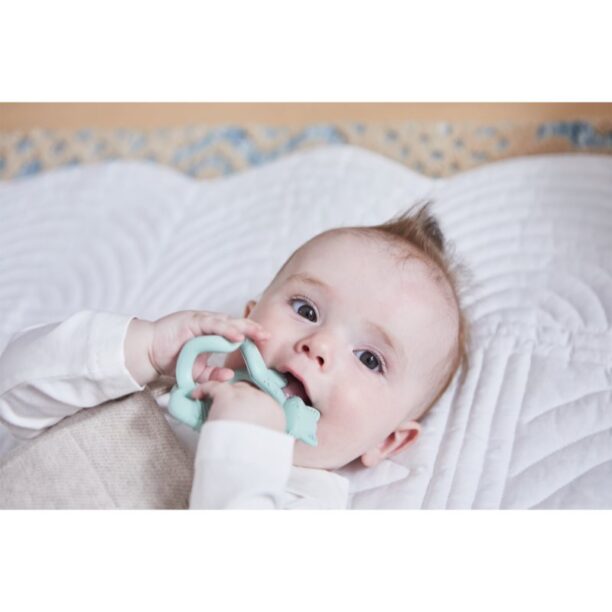 Cumpăra B.Box Teether brățară pentru dentiție Green 3m+ 1 buc