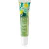 BAÏJA Lip Balm Mojito balsam de buze 15 ml