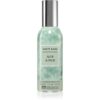 Bath & Body Works Aloe & Palm spray pentru camera 42