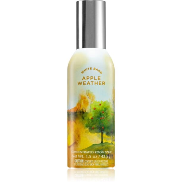 Bath & Body Works Apple Weather spray pentru camera 42