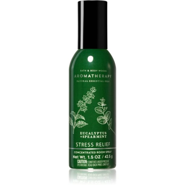 Bath & Body Works Eucalyptus Spearmint spray pentru camera 42