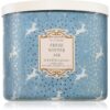 Bath & Body Works Fresh Winter Air lumânare parfumată 411 g