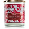 Bath & Body Works Spiced Apple Toddy lumanare 227 g