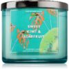 Bath & Body Works Sweet Kiwi & Starfruit lumânare parfumată 411 g