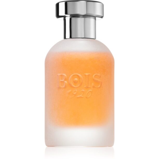 Bois 1920 Come L'Amore Eau de Parfum unisex 100 ml preţ