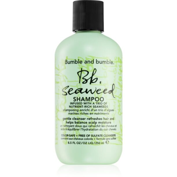 Bumble and bumble Seaweed Shampoo sampon pentru par cret cu extract de alge marine 250 ml preţ