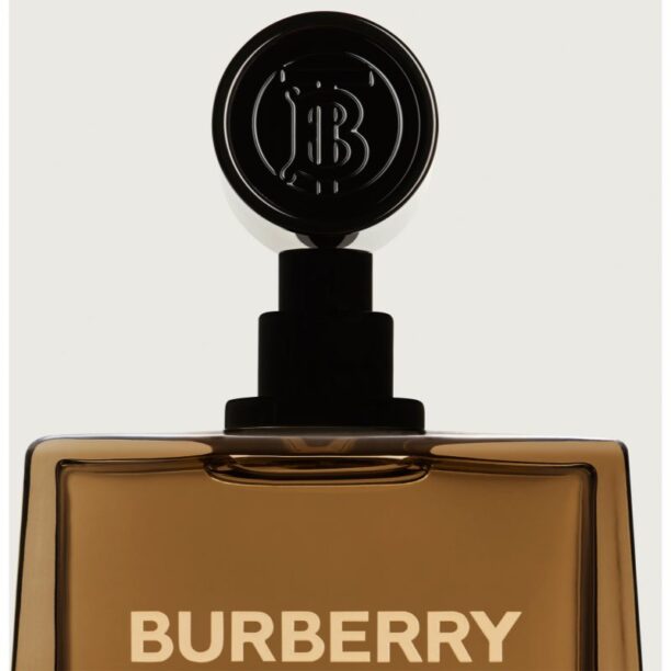 Original Burberry Hero Eau de Parfum Eau de Parfum reincarcabil pentru bărbați 100 ml