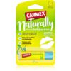 Carmex Pear balsam pentru buze cu efect hidratant 4.25 g