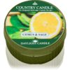 Country Candle Citrus & Sage lumânare 42 g