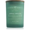 DW Home Charming Farmhouse Apple Melon lumânare parfumată 230 g