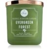 DW Home Signature Evergreen Forest lumânare parfumată 269 g