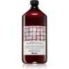 Davines Naturaltech Replumping Conditioner balsam hidratant pentru par usor de pieptanat 1000 ml