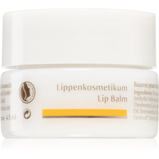 Dr. Hauschka Eye And Lip Care balsam de buze cu efect de nutritiv 4