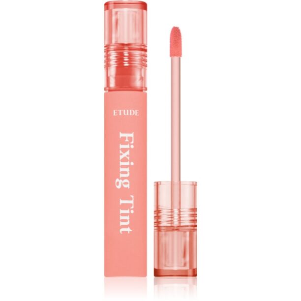 ETUDE Fixing Tint ruj cu persistență îndelungată cu efect mat culoare #03 Mellow Peach 4 g preţ