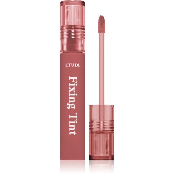 ETUDE Fixing Tint ruj cu persistență îndelungată cu efect mat culoare #05 Midnight Mauve 4 g preţ