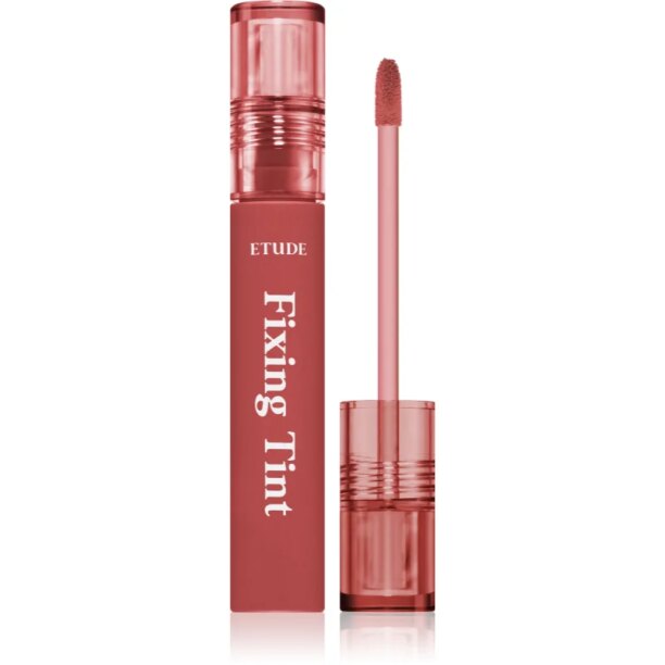 ETUDE Fixing Tint ruj cu persistență îndelungată cu efect mat culoare #06 Soft Walnut 4 g preţ