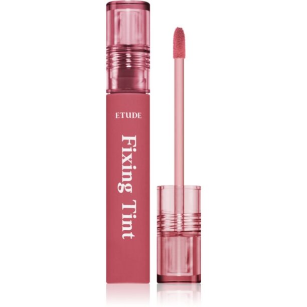 ETUDE Fixing Tint ruj cu persistență îndelungată cu efect mat culoare #07 Cranberry Plum 4 g preţ