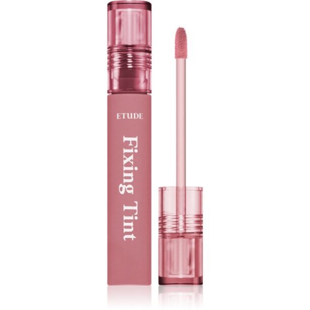 ETUDE Fixing Tint ruj cu persistență îndelungată cu efect mat culoare #08 Dusty Biege 4 g preţ