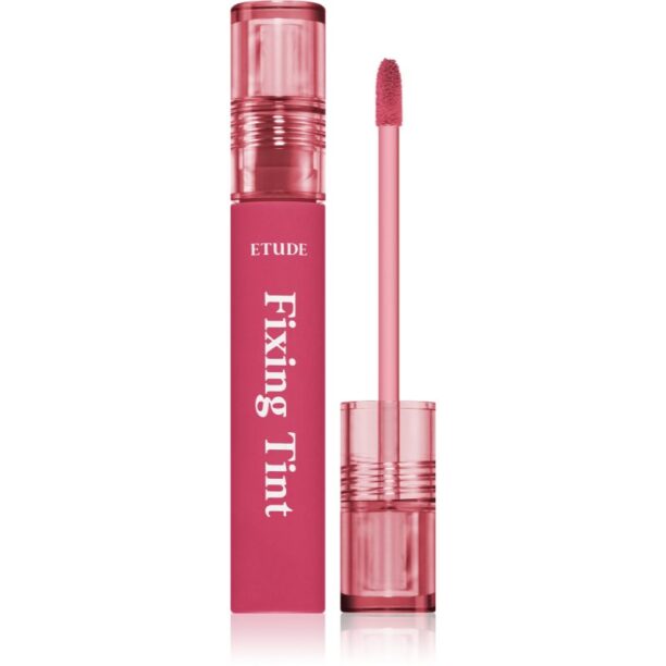 ETUDE Fixing Tint ruj cu persistență îndelungată cu efect mat culoare #11 Rose Blending 4 g preţ