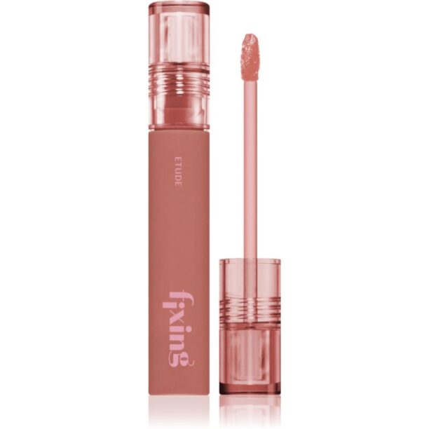 ETUDE Fixing Tint ruj cu persistență îndelungată cu efect mat culoare #12 Salmon Brick 4 g preţ