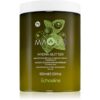 Echosline Maqui Hydra-Butter masca de par hranitoare 1000 ml