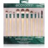 EcoTools Winter Wonder Glam set perii machiaj