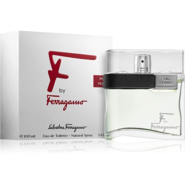 Cumpăra Ferragamo F by Ferragamo Eau de Toilette pentru bărbați 100 ml